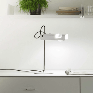 spider - LoriaDesign